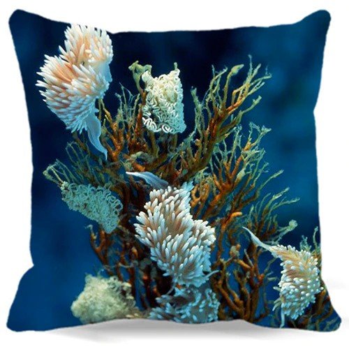 Taie d'oreiller Corail et Nudibranches Bleu Océan - Couleurs Lagon