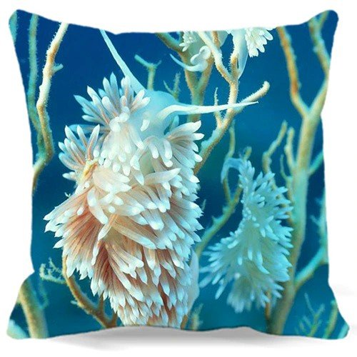 Taie d'oreiller Corail et Nudibranches Bleu Océan - Couleurs Lagon