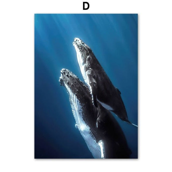 Toile impression d'art Dauphin Baleine bleu Corail - Couleurs Lagon