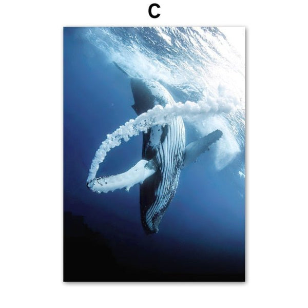 baleine plonge - Toile impression d'art Pierre blanche Baleine bleu Requin PMT - Couleurs Lagon