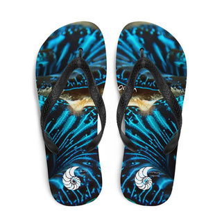 Tongs Couleurs Lagon BENITIER BLEU - Couleurs Lagon