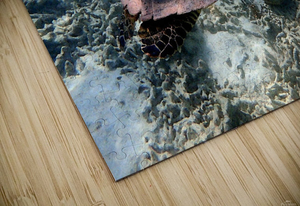 Tortue Aquarelle de Nouvelle Caledonie Grand Format - Couleurs Lagon
