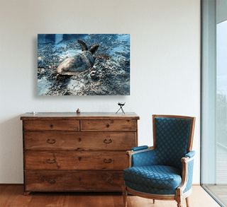 Tortue Aquarelle de Nouvelle Caledonie Grand Format - Couleurs Lagon