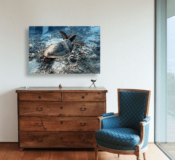 Tortue Aquarelle de Nouvelle Caledonie Grand Format - Couleurs Lagon